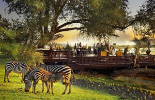 The Sundeck with zebras in the foreground